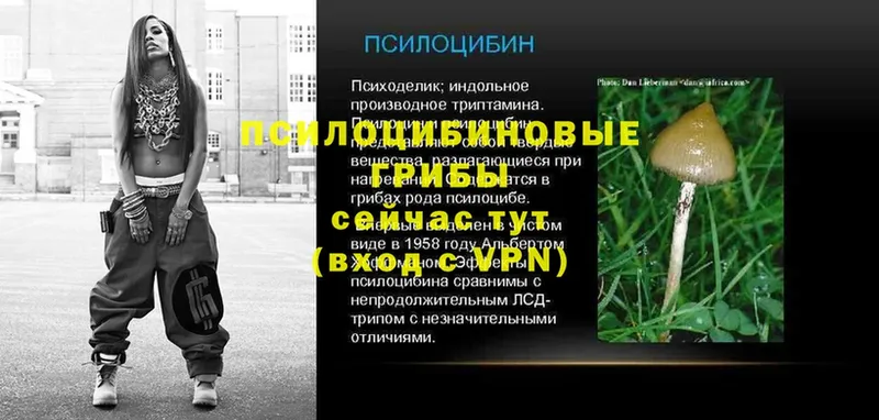 Псилоцибиновые грибы мухоморы  купить наркотик  Мегион 